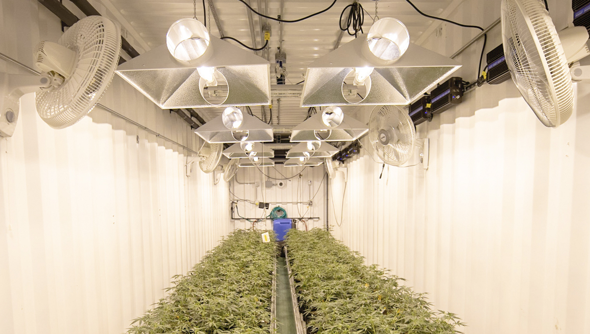 The importance of air circulation: benefits The importance of air circulation: benefits