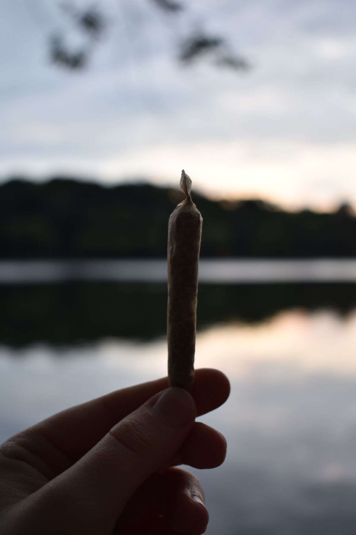joint by Maria Badasian/Unsplash
