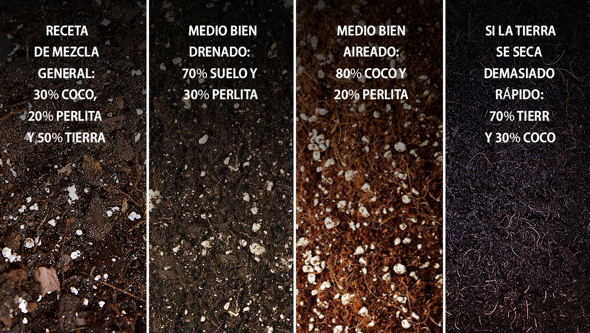  9 errores a evitar: el mejor medio