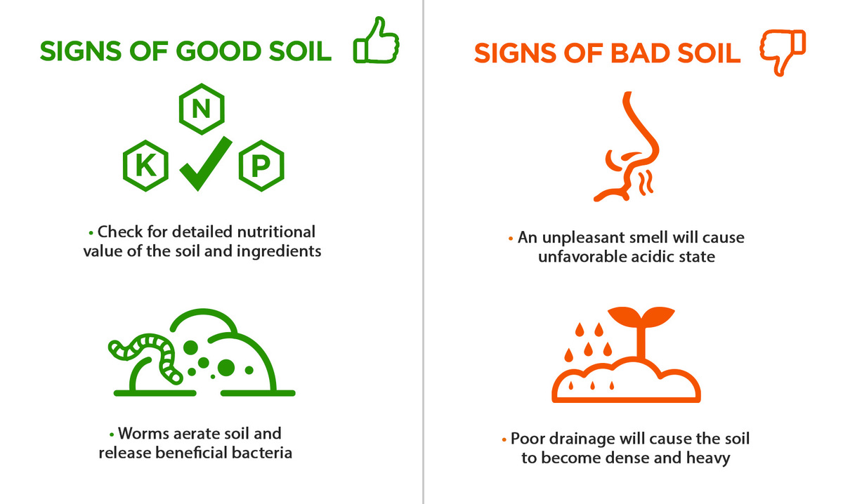 Which Soil Is Best For Autoflowering Cannabis?: Signs of good and bad soil