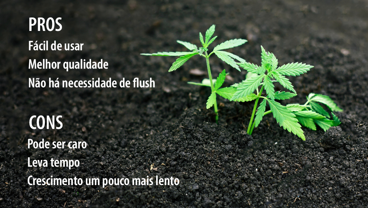 Super soil para cannabis: pros e cons