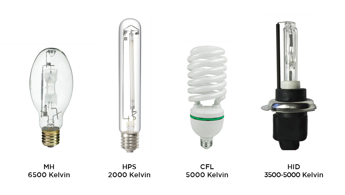 Best light spectrum for autos: hps, mh, cfl and hid