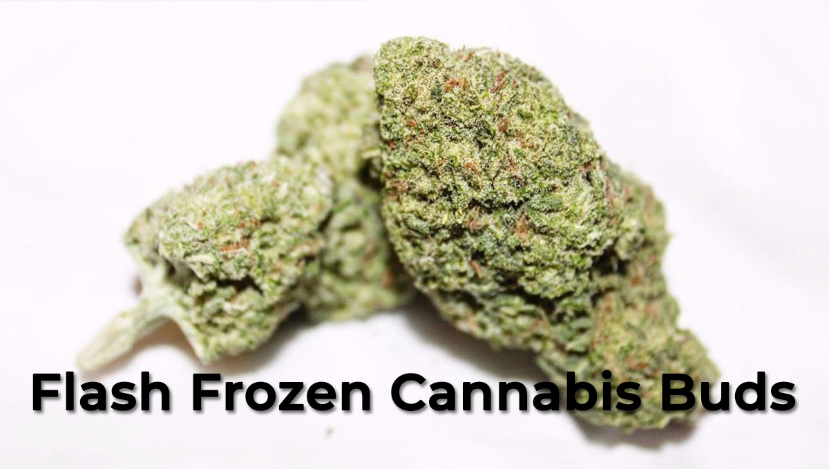 Flash frozen cannabis buds Flash frozen cannabis buds