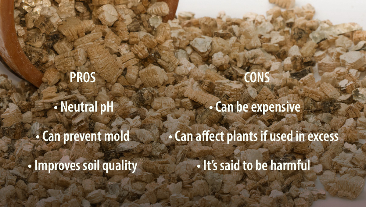 Pros and Cons of Adding Vermiculite to your Soil