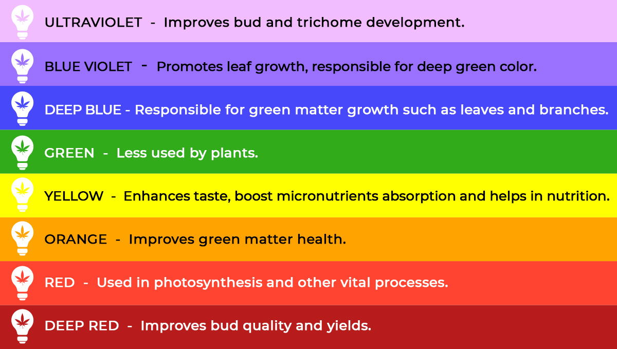 Best light spectrum for autos: light spectrum and plant growth