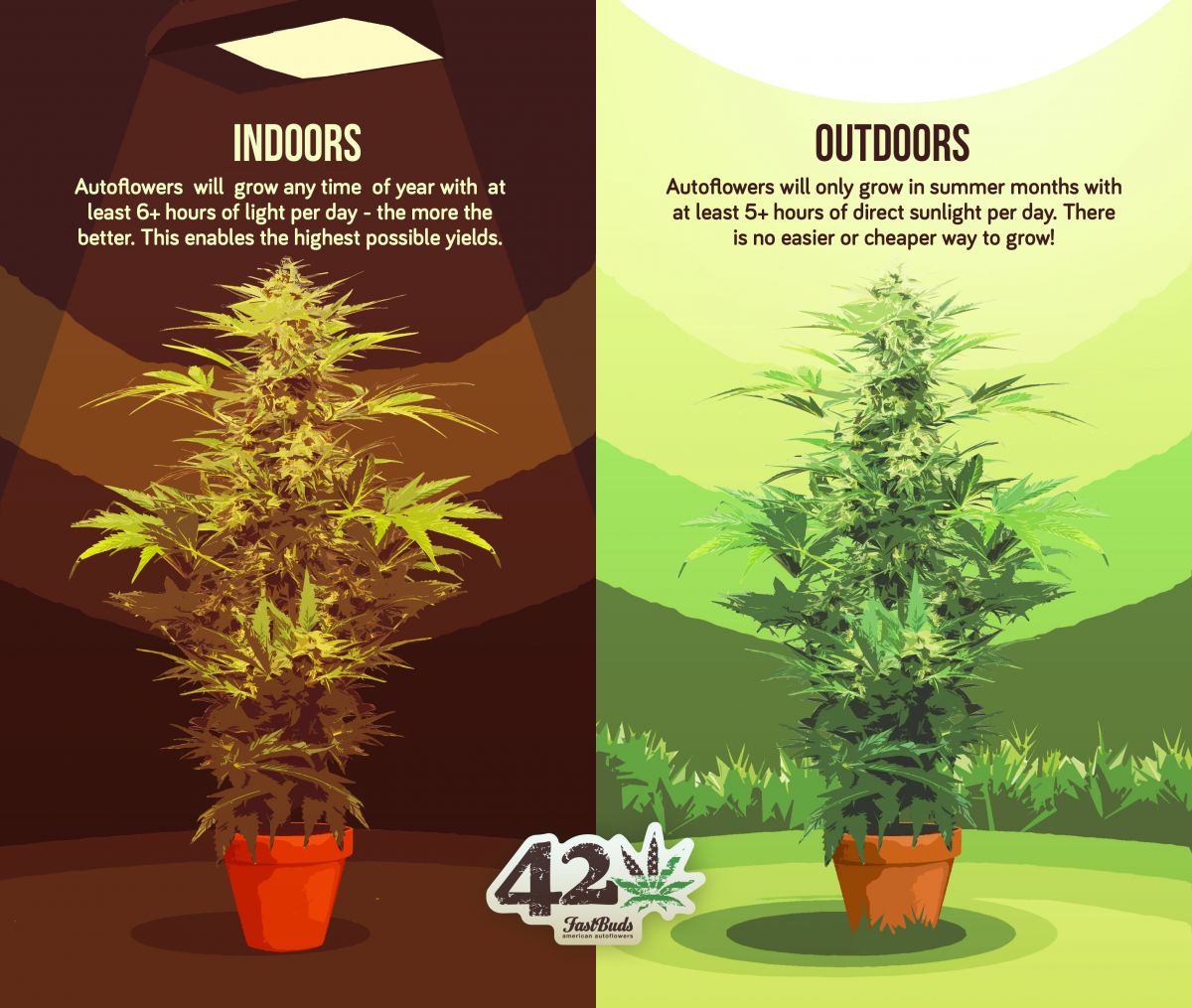 growing-indoors-outdoors.jpg Difference between growing autoflowers indoors and outdoors described