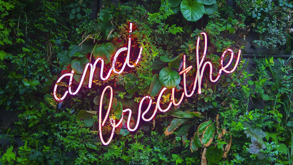 Truth or Myth: Does Coughing Get You Higher? Pay your lungs some respect and breathe. Truth or Myth: Does Coughing Get You Higher? Pay your lungs some respect and breathe.