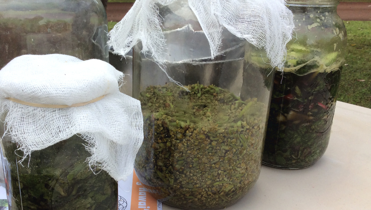 Korean natural farming: what is knf? Korean natural farming: what is knf?