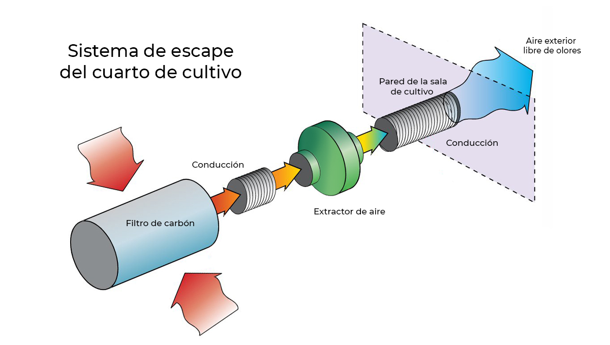 La importancia de la circulación del aire: extractor