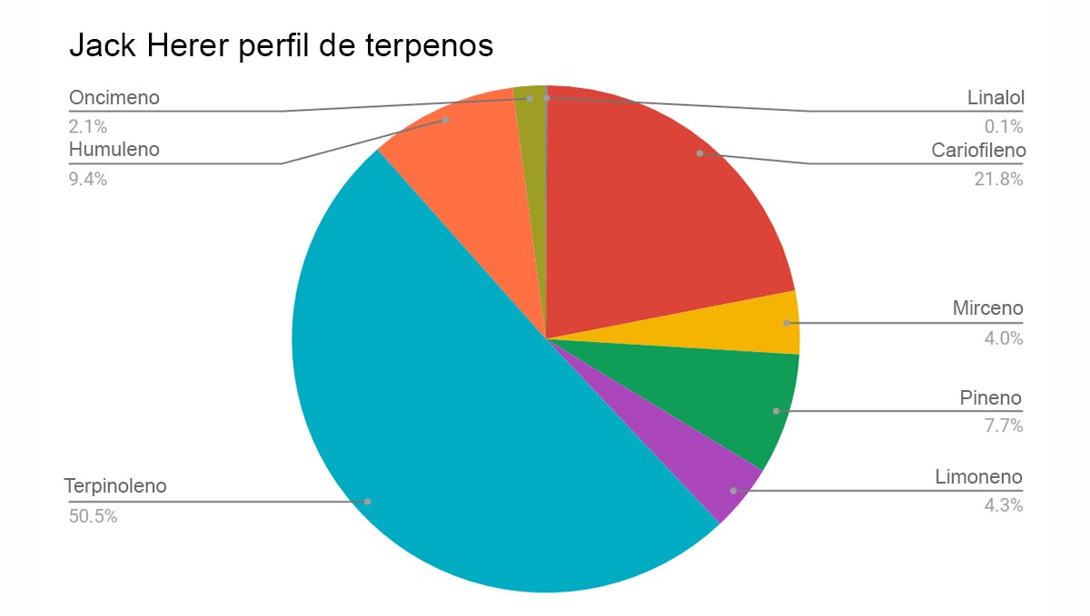 Jack Herer Auto: perfil de terpenos