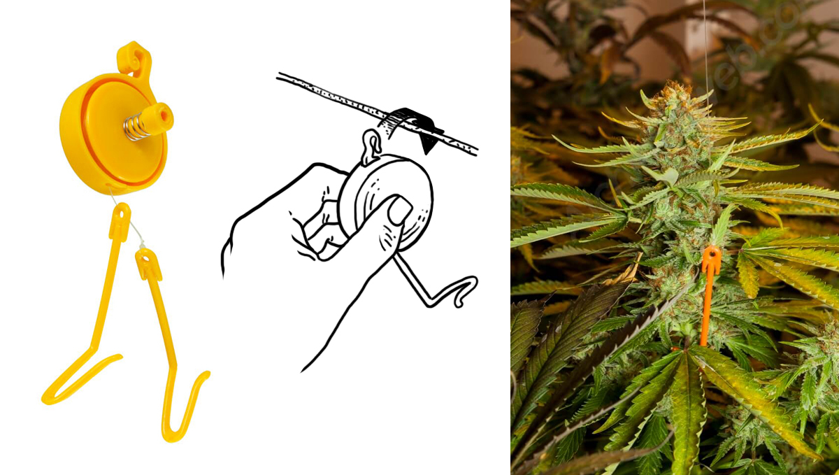 Top 8 growing gadgets: plant yo-yos