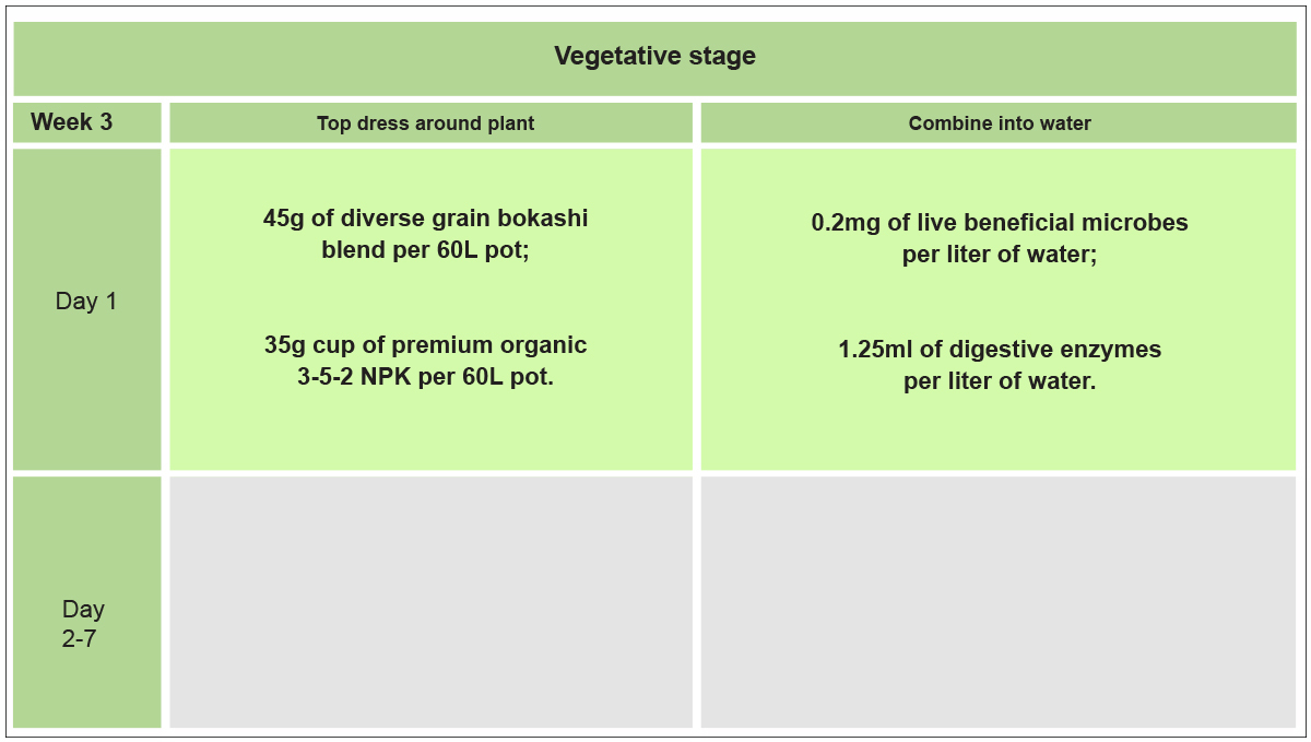 No-till cannabis guide: week 3