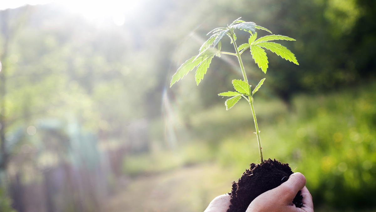 Aptus usage guide: start booster