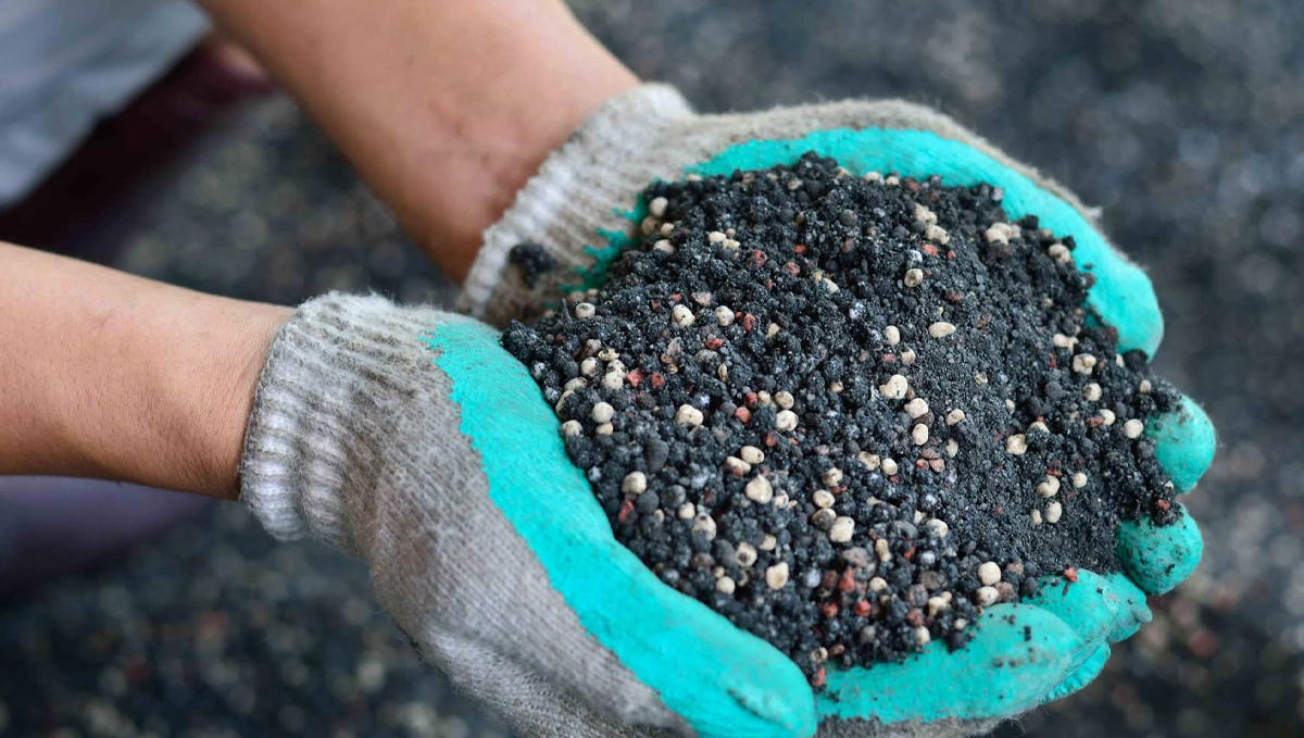 Deficiencias de nutrientes del cannabis: cómo evitarlas