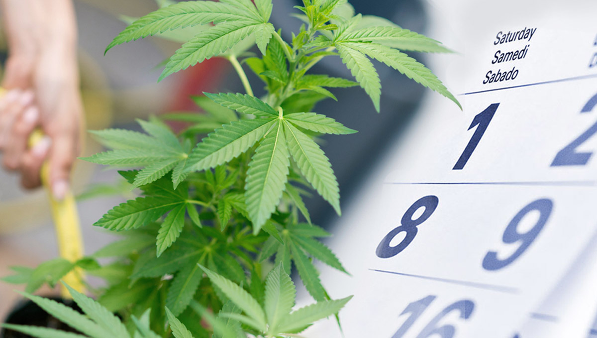 daily check.jpg Do daily checks!