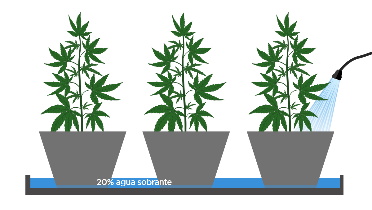  9 consejos para ahorrar tiempo: bandeja de plástico