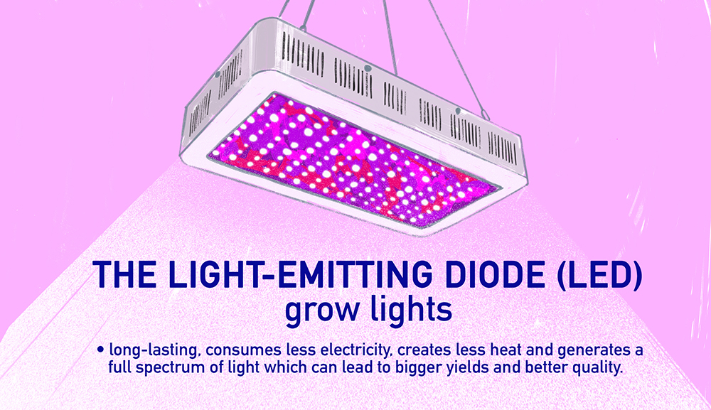 LED Grow Lights