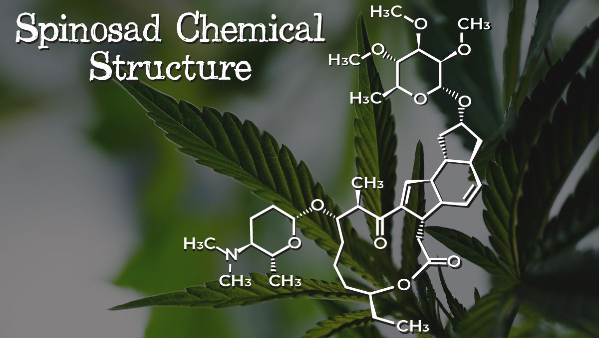 Is spinosad safe?: homemade alternatives to spinosad