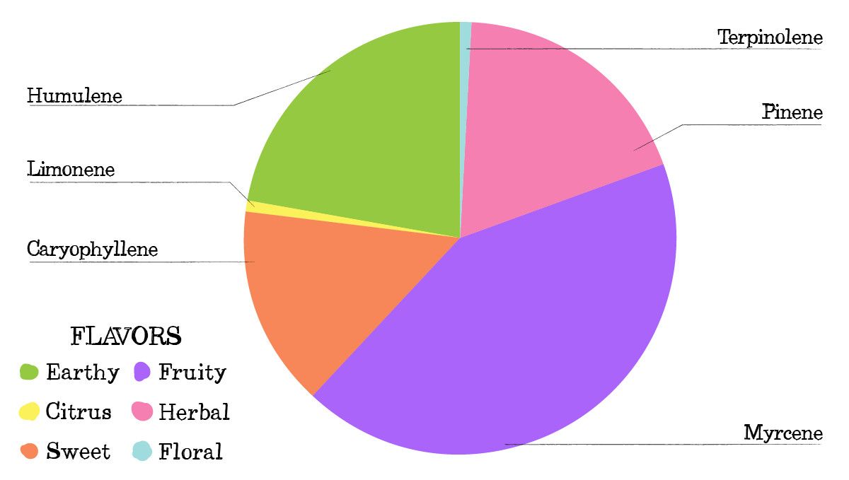 Vanilla Kush Cannabis Strain Week-by-Week Guide: Terpene profile Vanilla Kush Cannabis Strain Week-by-Week Guide: Terpene profile
