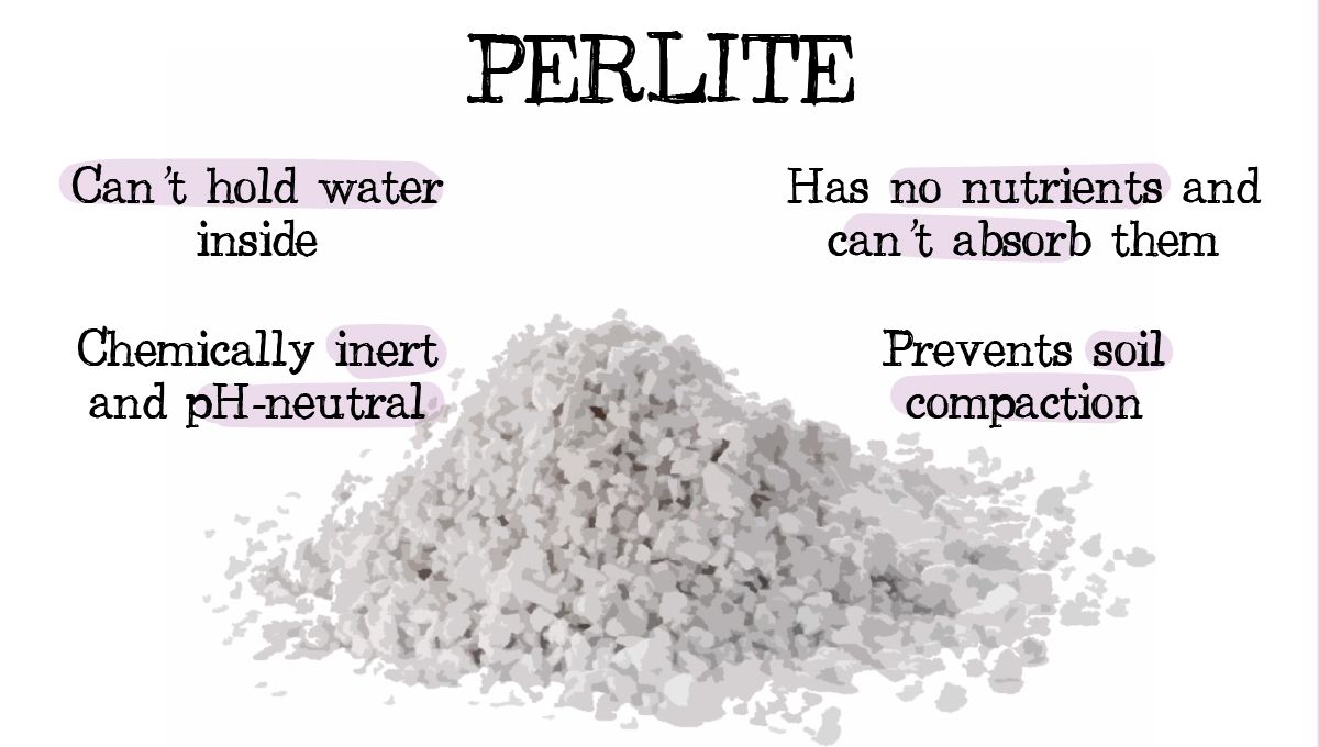 Drainage for Cannabis Plants: Why is it Important and How To Improve it - Perlite and its features as a soil conditioner Drainage for Cannabis Plants: Why is it Important and How To Improve it - Perlite and its features as a soil conditioner