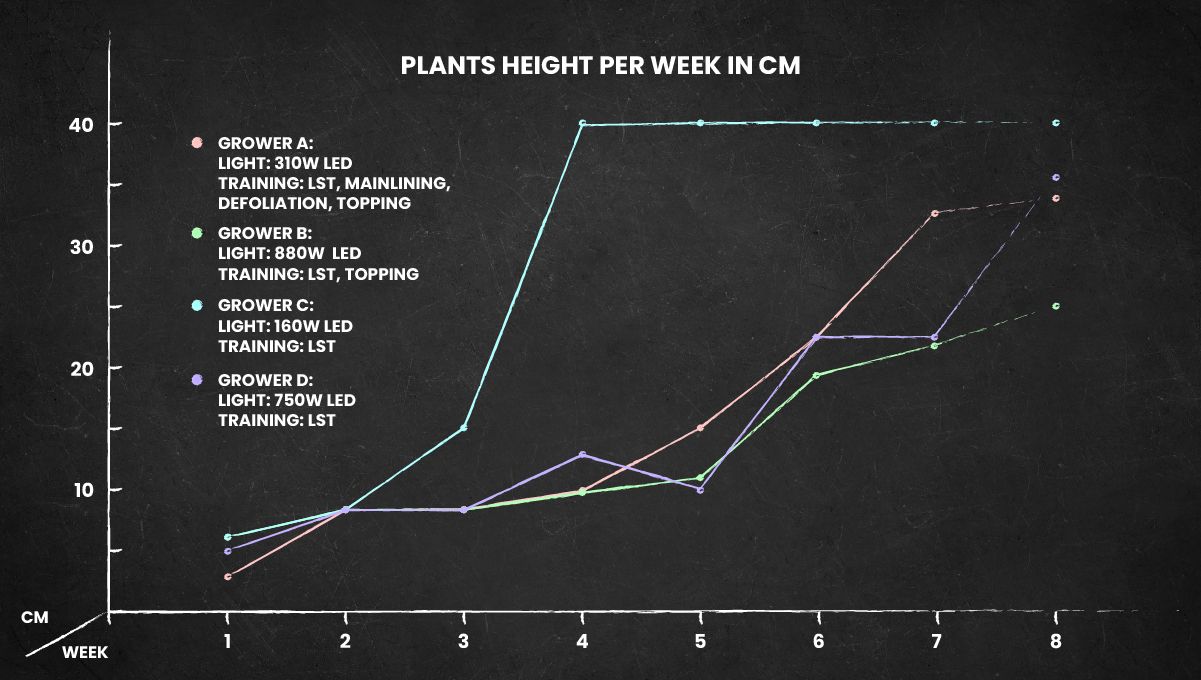 Gelato Auto Cannabis Strain Week-by-Week Guide: Height Chart Gelato Auto Cannabis Strain Week-by-Week Guide: Height Chart