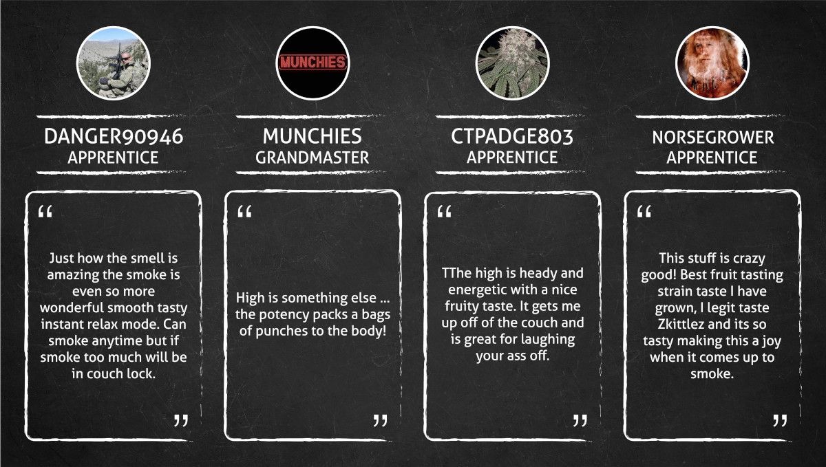 What do smokers say about Watermelon Z Auto