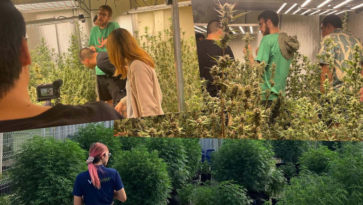 Fast Buds Conquer Thai Land: Fast Buds conquista tierras tailandesas: Asia International Hemp Expo en Bangkok