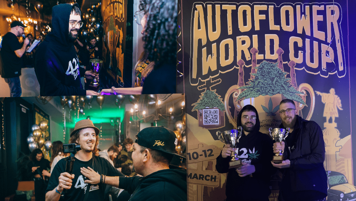 Gorilla Punch Auto takes 1st place at the AWC 2022