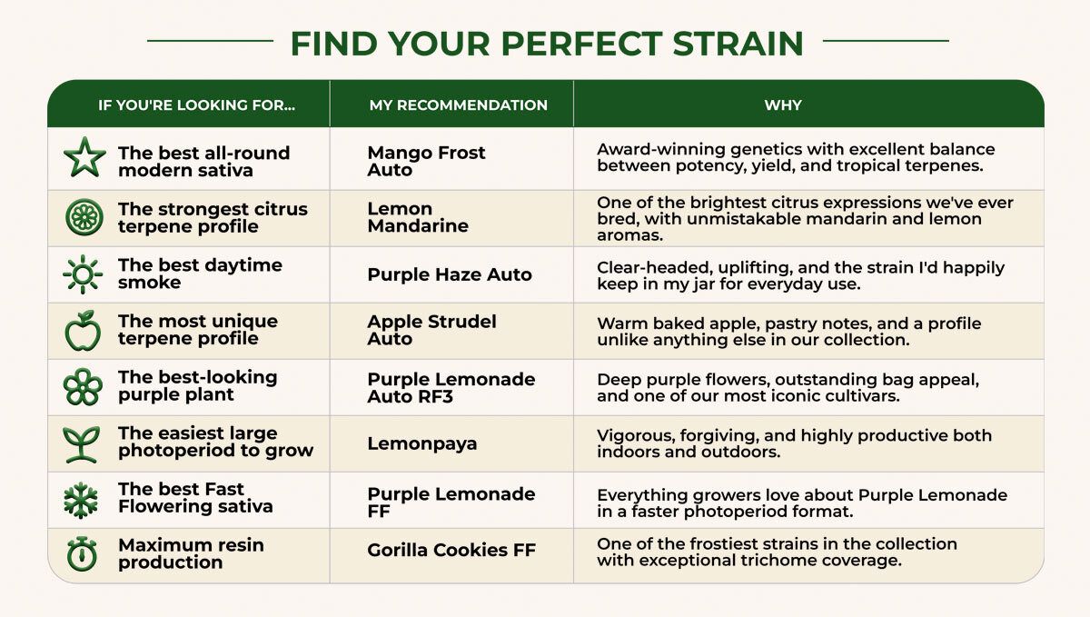 Best Strain For You