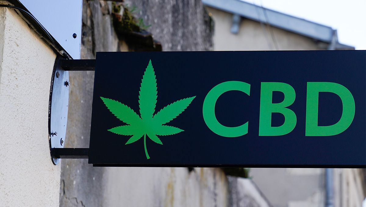 Weed in Argentina: Cannabis Legal Status Guide: The interior of a D. Cultivo grow shop