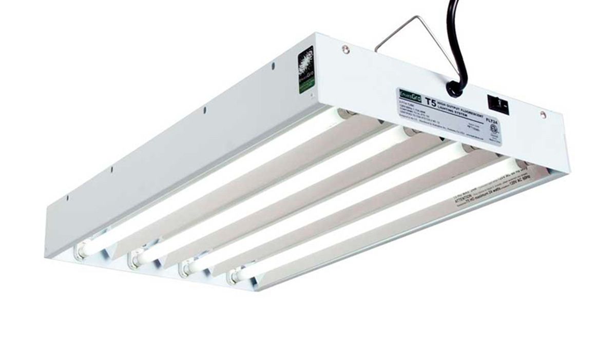 Can you grow autoflowers with CFLs: types of fluorescent lights