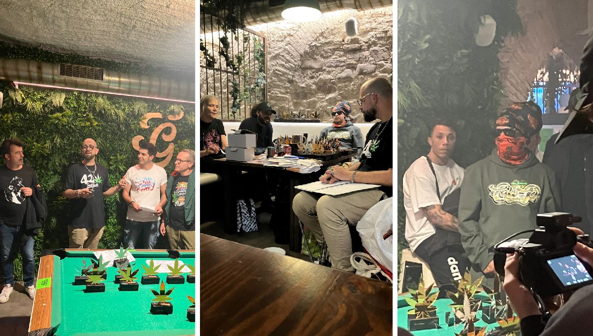 Strawberry Gorilla Auto 1st place at CannaFrench Cup