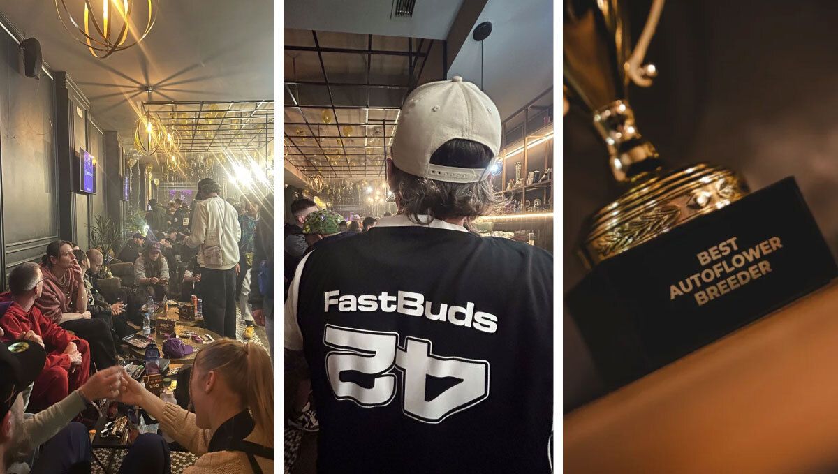 2 (11).jpg Fast Buds