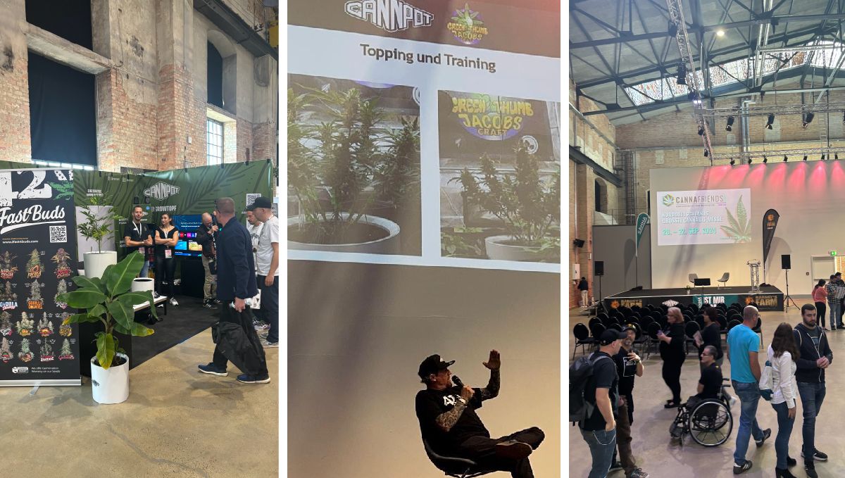 Bernie auf der CannaFriends in Hannover Bernie auf der CannaFriends in Hannover