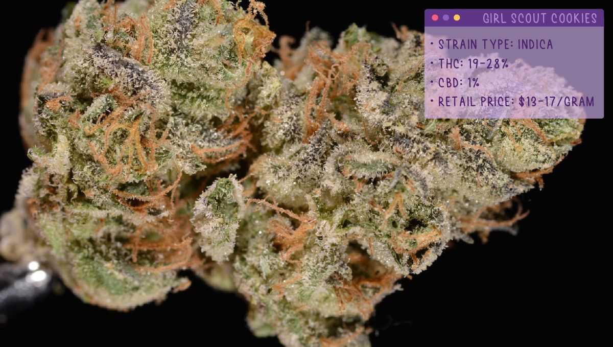 22 Best Weed Strains to Try in 2022: Girl Scout Cookies