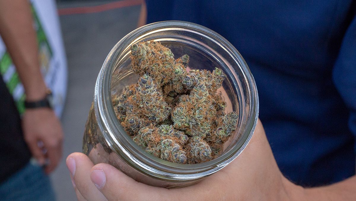 Top 4 reasons to grow your own cannabis: neverending weed Top 4 reasons to grow your own cannabis: neverending weed