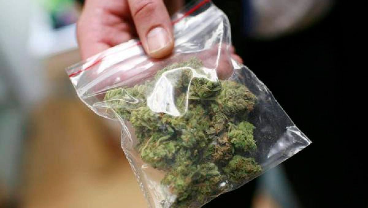 Weed in spain: is the sale of marijuana legal in spain?