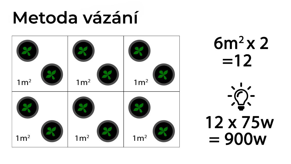 Kolik autokvětů na metr čtvereční: Příkon potřebný při vázání větví