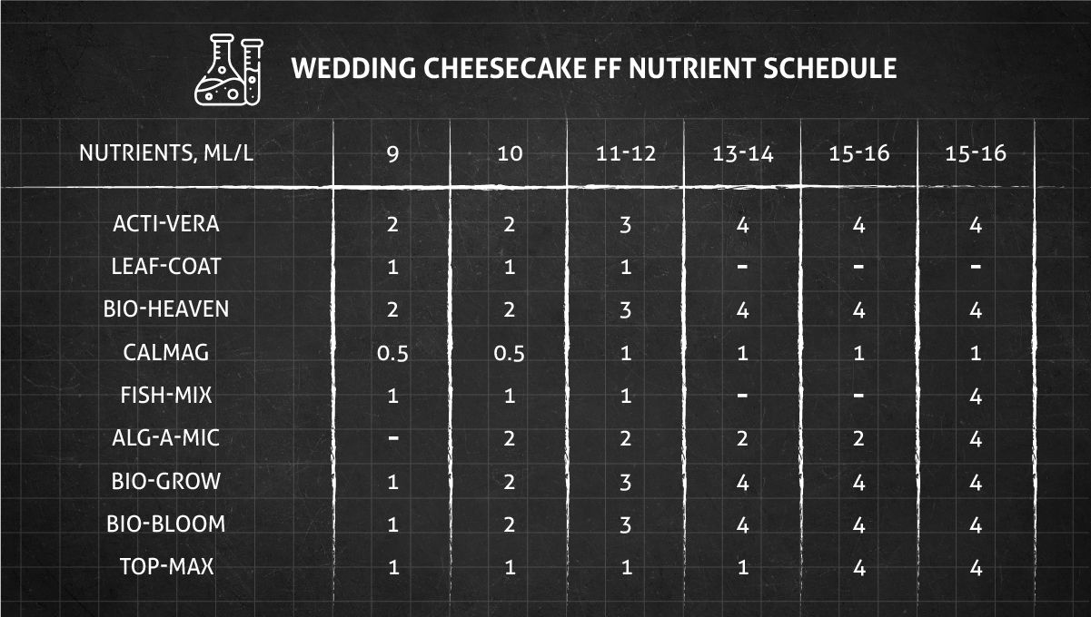 Wedding Cheesecake FF cannabis strain: flower nutrient schedule Wedding Cheesecake FF cannabis strain: flower nutrient schedule