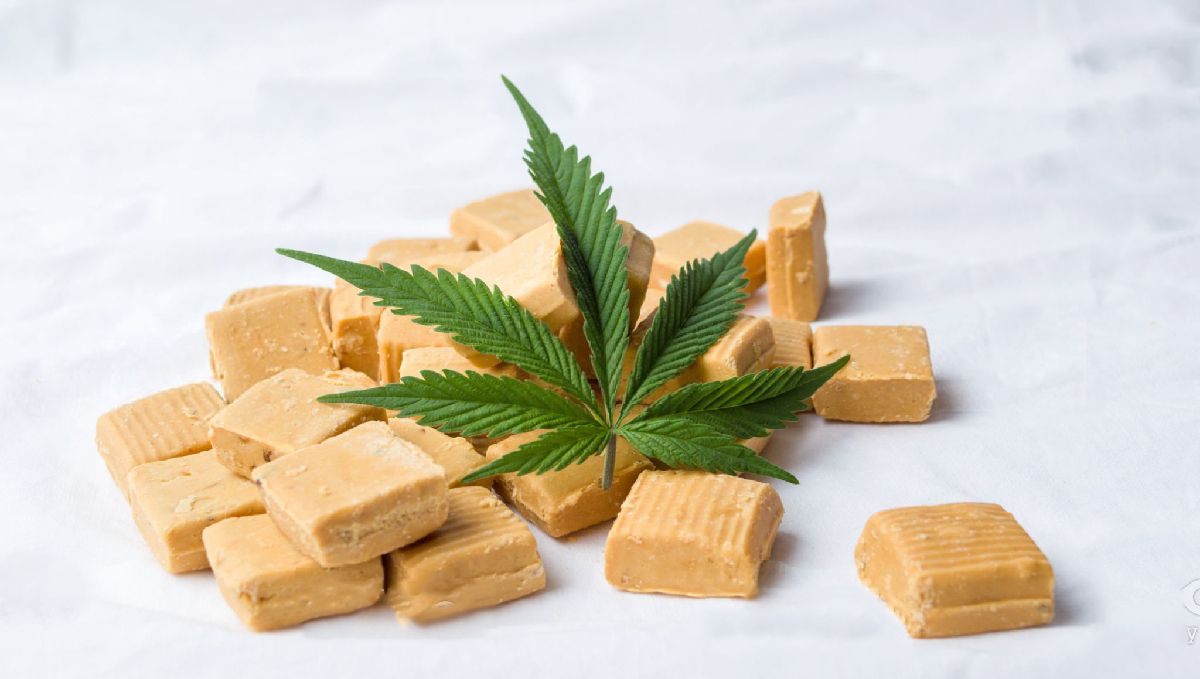 How to make cannabis edibles: marijuana caramels How to make cannabis edibles: marijuana caramels
