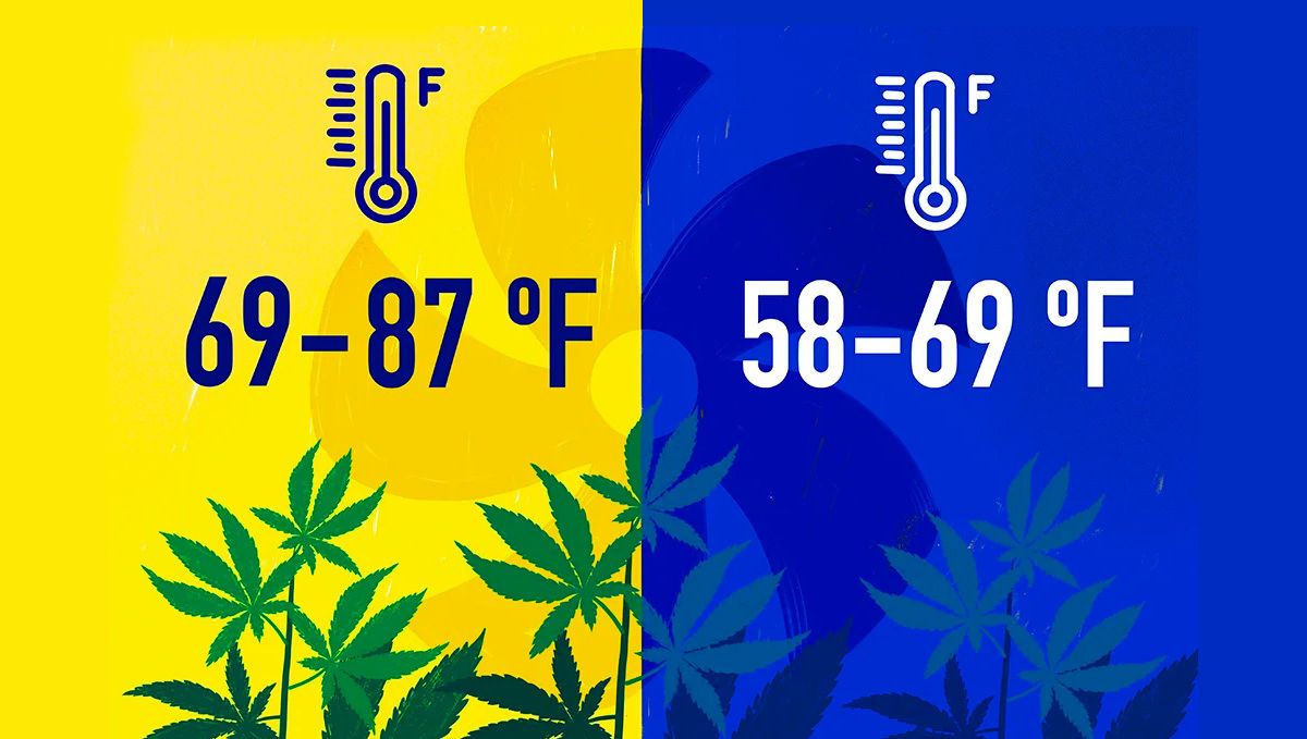 How to Grow Cannabis Indoors: a Beginners guide - 2021 (Part 1): Fresh Air