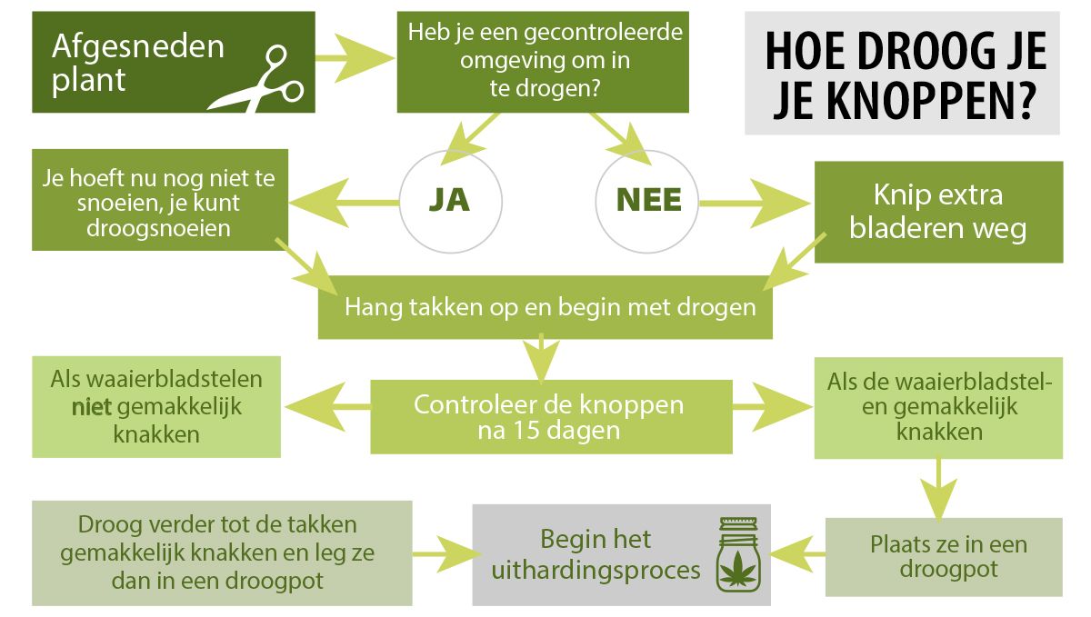 De beste omstandigheden voor je droogkamer en hoe je cannabis kunt drogen: Waar je rekening mee moet houden De beste omstandigheden voor je droogkamer en hoe je cannabis kunt drogen: Waar je rekening mee moet houden