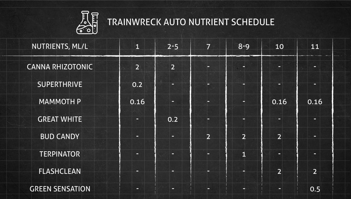 Trainwreck Auto cannabis strain: feeding chart for the vegetative and flowering stages