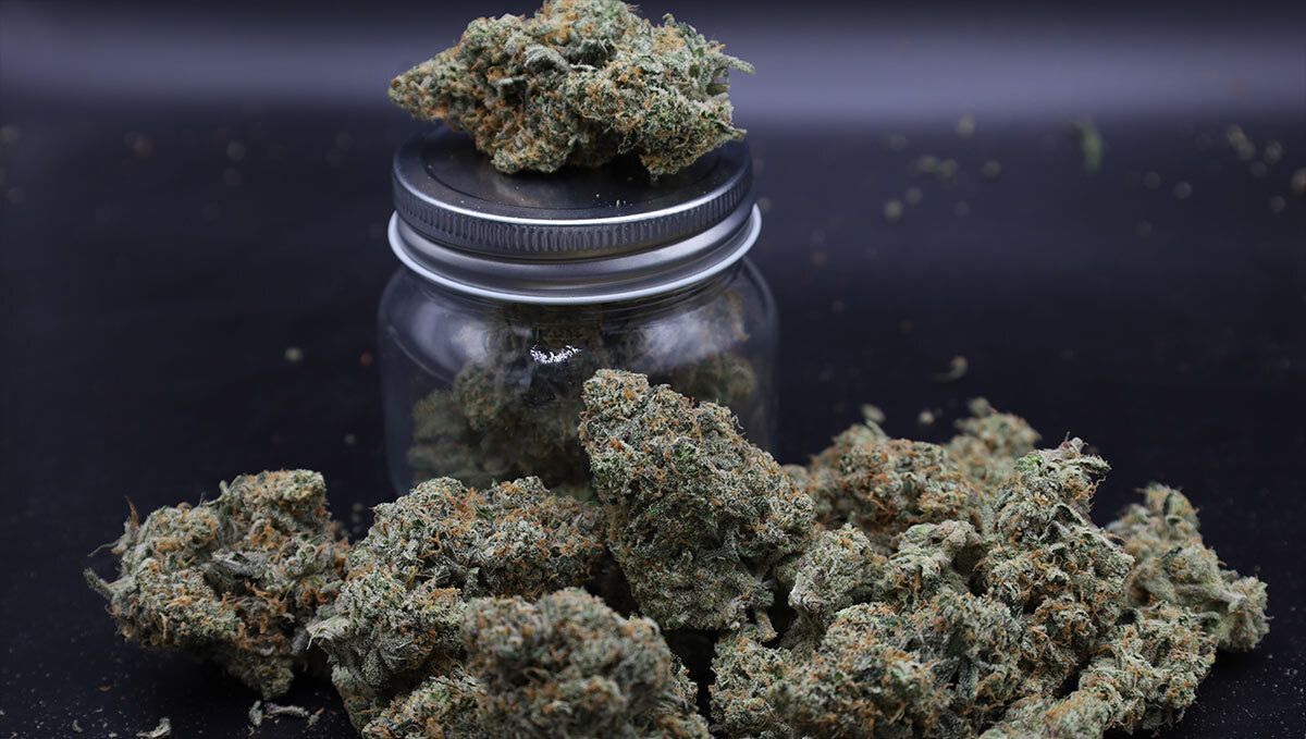 Buds GMO