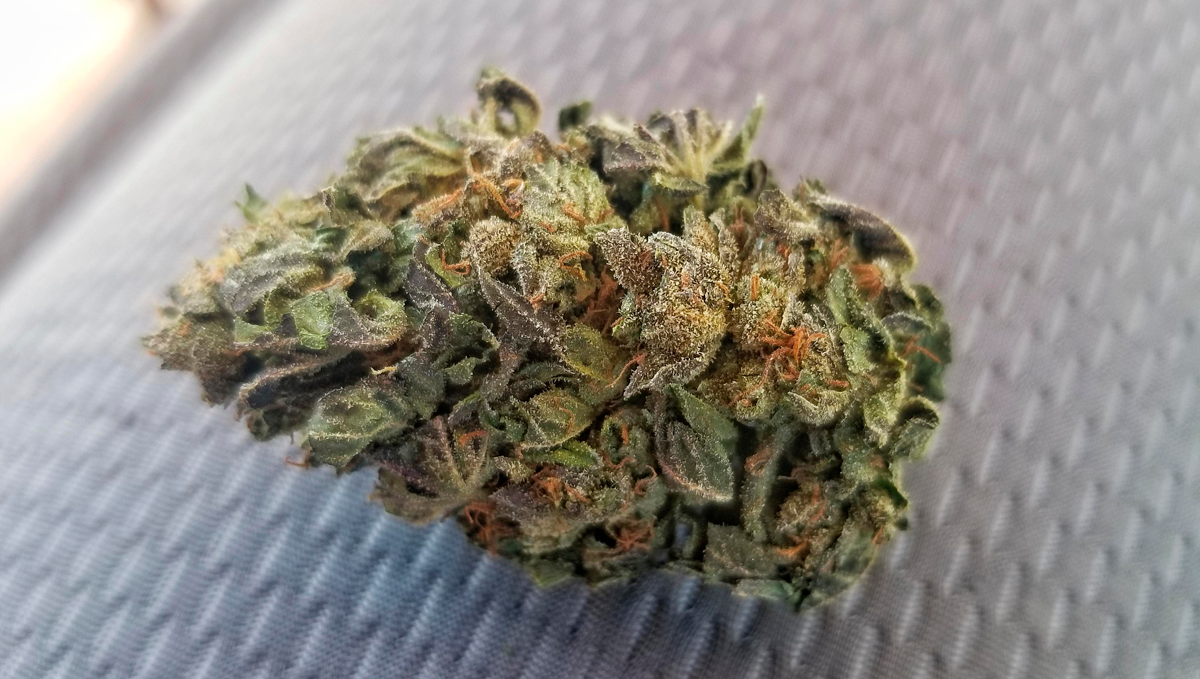 Weed in pakistan: possession