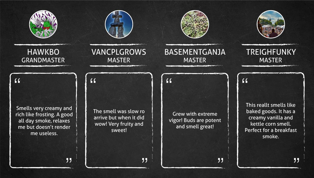 Wedding Cheesecake Smoke Report Wedding Cheesecake Smoke Report