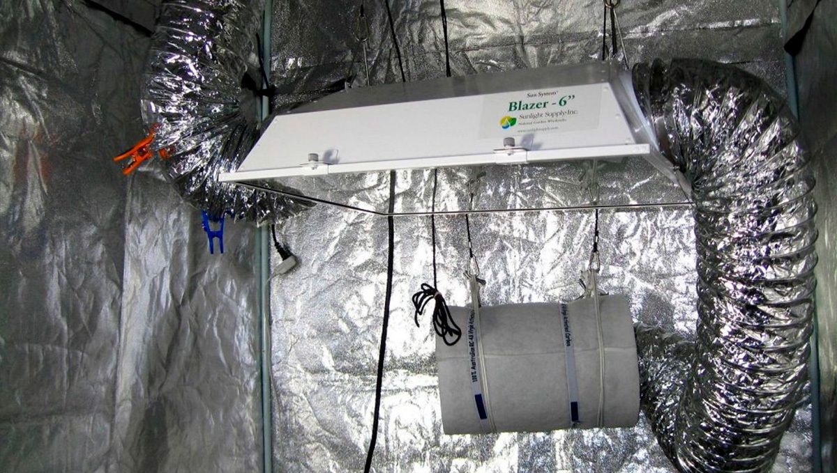 Your first grow setup: carbon filter