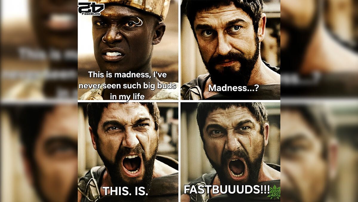 2 (19).jpg Discord Meme Winner May