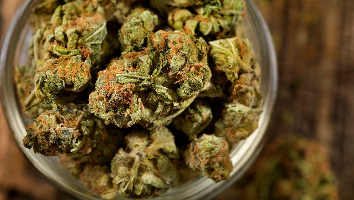 How to Cure Buds: burping jars