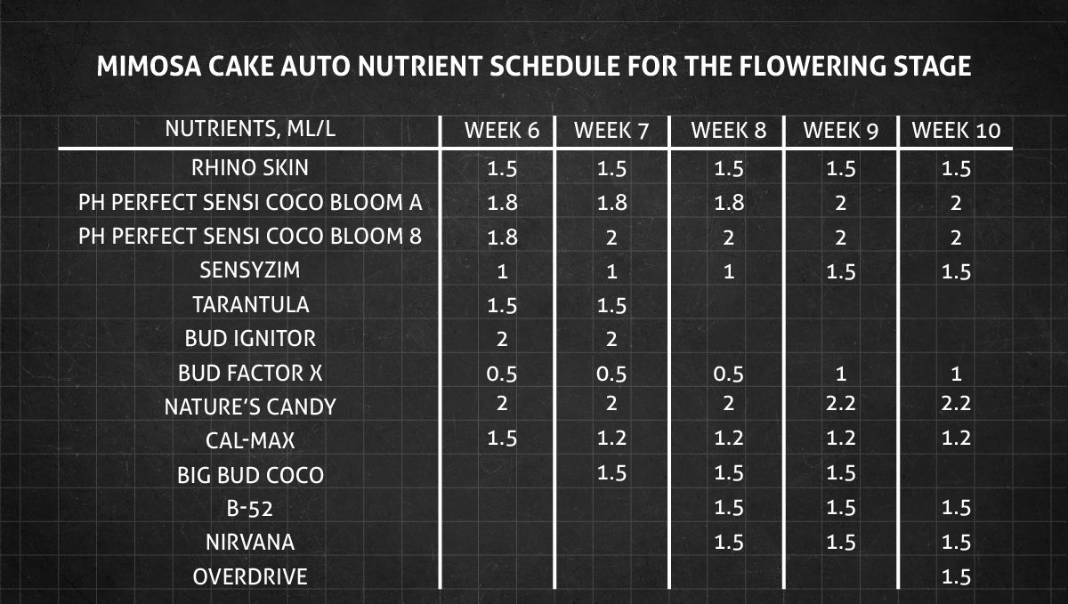 Mimosa Cake Auto cannabis strain: flower nutrient schedule Mimosa Cake Auto cannabis strain: flower nutrient schedule